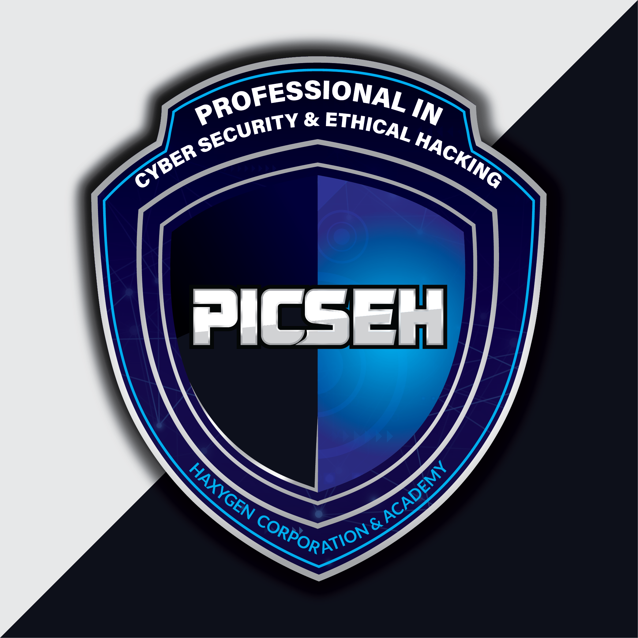 PICSEH Badge